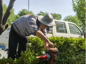 1725329181115488.jpg 1725329256588.jpg